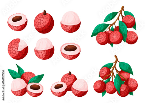Lychee tropical. Summer fruit. Nature leaf, cartoon seed. Tasty berry. Brown exotic rind, health vitamin. Red plant, organic pulp, food ingredient elements. Vector juicy garish dessert isolated set