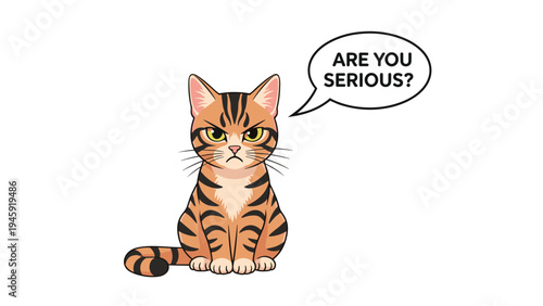Grumpy orange tabby cat character with a speech bubble asking are you serious for expressive animal and funny reaction graphics.