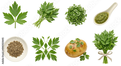 assortment of fresh lovage (levisticum officinale) with chopped leaves seeds and paste on black background