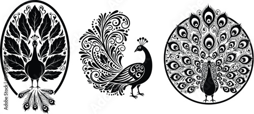 Peacock decorative illustration set with ornamental feathers, elegant bird design, vintage floral pattern style, detailed vector artwork