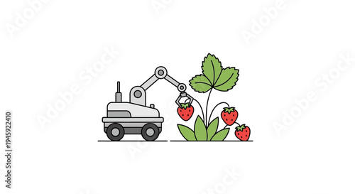 Robot picking strawberries with mechanical arm.