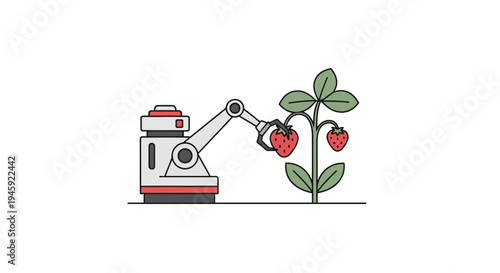 Robot picking strawberry with arm.