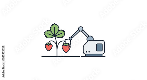 Robotic arm picking strawberries.