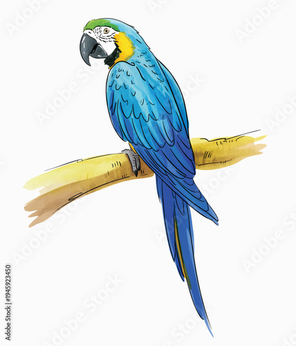 Elegant tropical macaw perched on wooden branch in watercolor.
