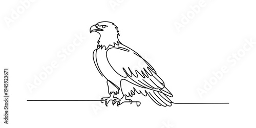A single continuous line drawing of an eagle perched on a branch looking forward Vector, illustration