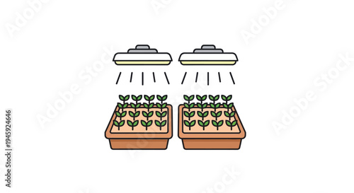 Seedlings in plant trays growing.