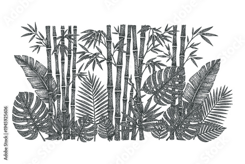 Tropical bamboo forest illustration with palm leaves