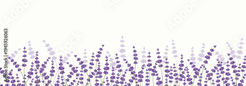 Serene Lavender Field Horizon: Minimalist Wellness Banner & Floral Hero Design