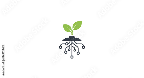 Small green plant growing from soil.