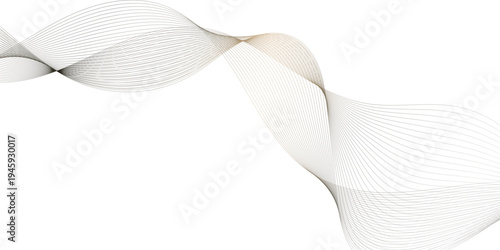 Abstract grey, white smooth element swoosh speed wave modern stream background. Wave with lines created using blend tool. Abstract frequency sound wave lines and twisted curve lines background.	