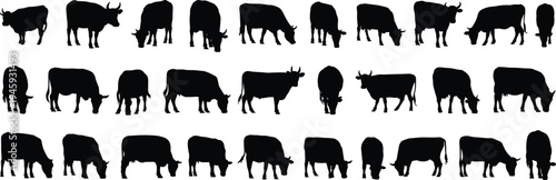 Seamless farm animal silhouette pattern featuring cows for agriculture design use