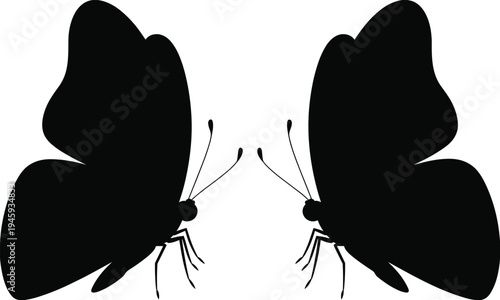 Two black silhouette butterflies facing each other with detailed wings and antennae on a white background symbolizing symmetry and nature