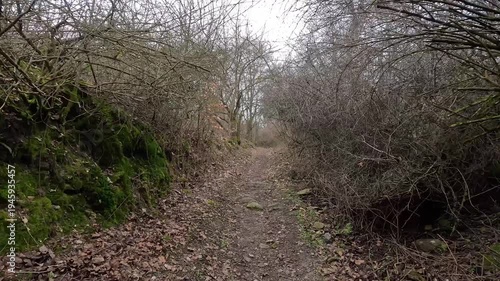 Walking along narrow forest path in late autumn woodland with bare trees