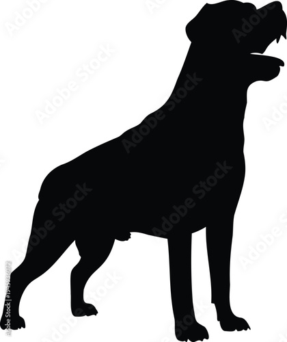 Rottweiler barking profile silhouette vector
