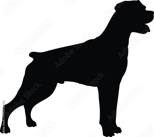 Rottweiler guard stance silhouette vector
