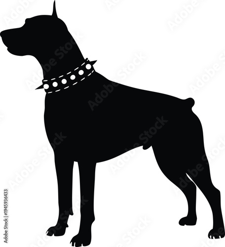 Rottweiler with spiked collar silhouette vector