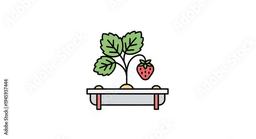 Strawberry plant with green leaves growing.