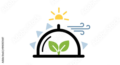 Sprouting green plant on tray outdoors.