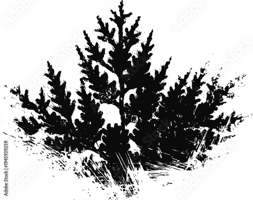 Silhouette of pine bushes in black and white ink with textured grass and foliage