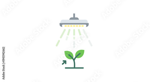 Watering Green Plant with Shower Head.