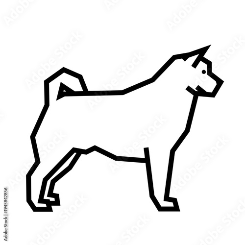 Akita dog