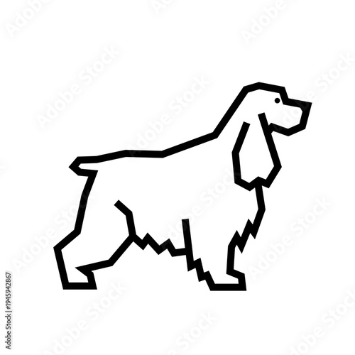 Cocker Spaniel 