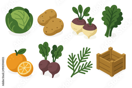 Winter Harvest Icons. Winter Crops flat icons cabbage, potatoes, turnips, kale, citrus fruits, beets, pine branches, wooden crate