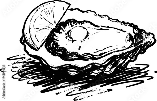 Oyster with lemon wedge sketch seafood delicacy shellfish detailed black ink drawing