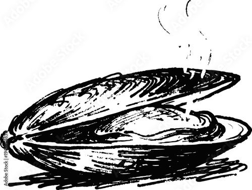Steaming clam shell with cooked meat inside, seafood delicacy illustration in vintage