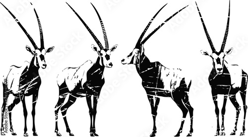 Four oryx antelopes standing in a row with long straight horns and light colored bodies