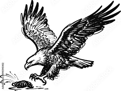 Detailed black and white illustration of an eagle swooping down to catch its prey with sharp talons extended