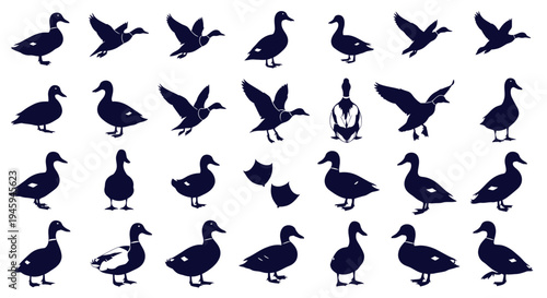 Duck silhouettes for wildlife and nature designs, vector icons