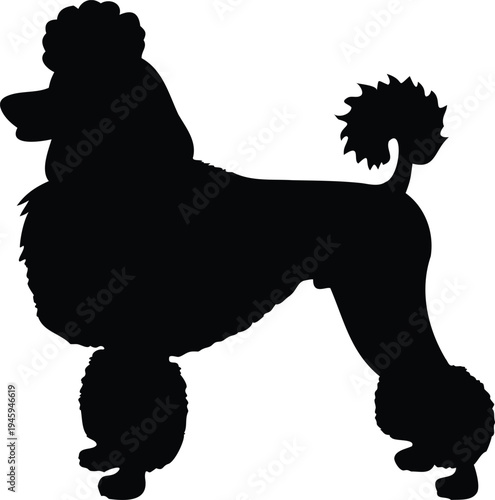 Playful poodle jumping silhouette illustration