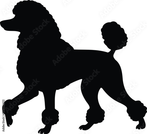 Poodle jumping playful dog silhouette vector