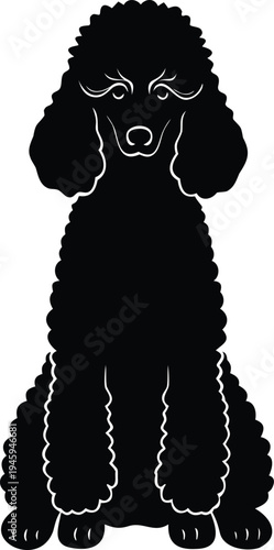 Poodle jumping action silhouette vector icon
