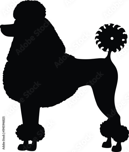 Playful poodle dog jump silhouette design