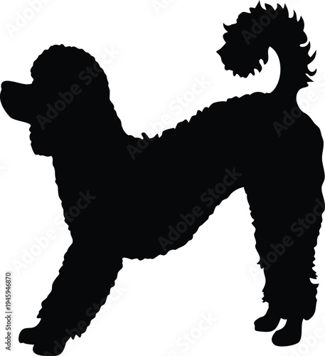 Playful poodle jumping canine silhouette