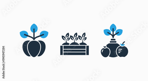Agricultural plant growth and harvesting icon set for organic farming and sustainable produce production