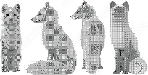 Arctic fox sitting in multiple poses hand drawn stipple art illustration isolated on white background