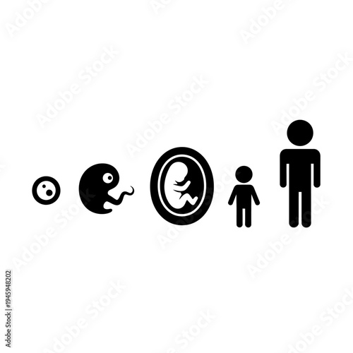 Human Life Cycle Stages Icon Set.