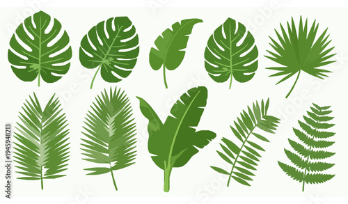 Tropical Green Leaves Vector Collection for Botanical and Nature Designs