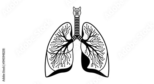 Human Lung Anatomy Illustration.