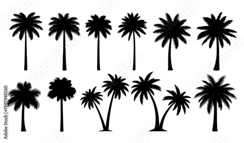 Black Palm Tree Silhouette Vector Set for Tropical and Summer Designs