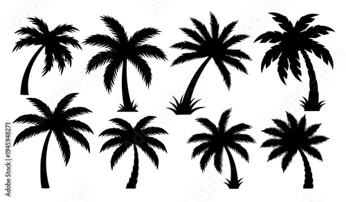Stylized Black Palm Tree Silhouette Vector Set for Tropical and Summer Projects