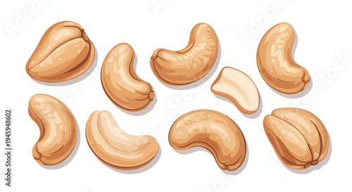Scattered Cashew Nuts Whole and Broken Vector Food Illustration
