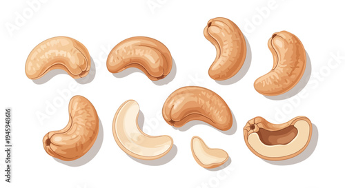 Cashew Nut Set Whole and Halved Isolated Vector Illustration
