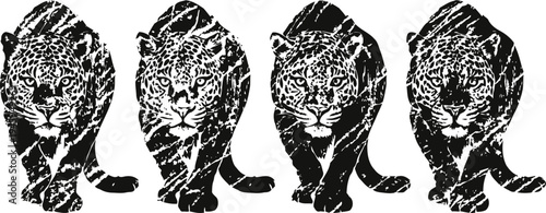 Four walking jaguars illustration in black and white silhouette