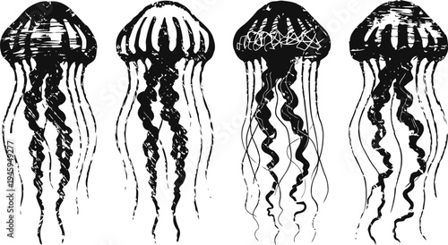 Vintage jellyfish illustrations set black and white maritime ocean creatures with long tentacles detailed ink drawings