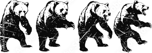 four black and white grizzly bear silhouettes in different standing poses with textured scratch details