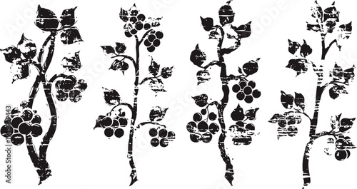 Black and white vintage botanical branches with berries and leaves silhouette set